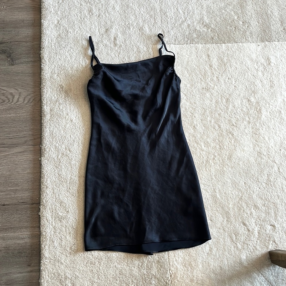 Aritzia Bavarian Model Dress